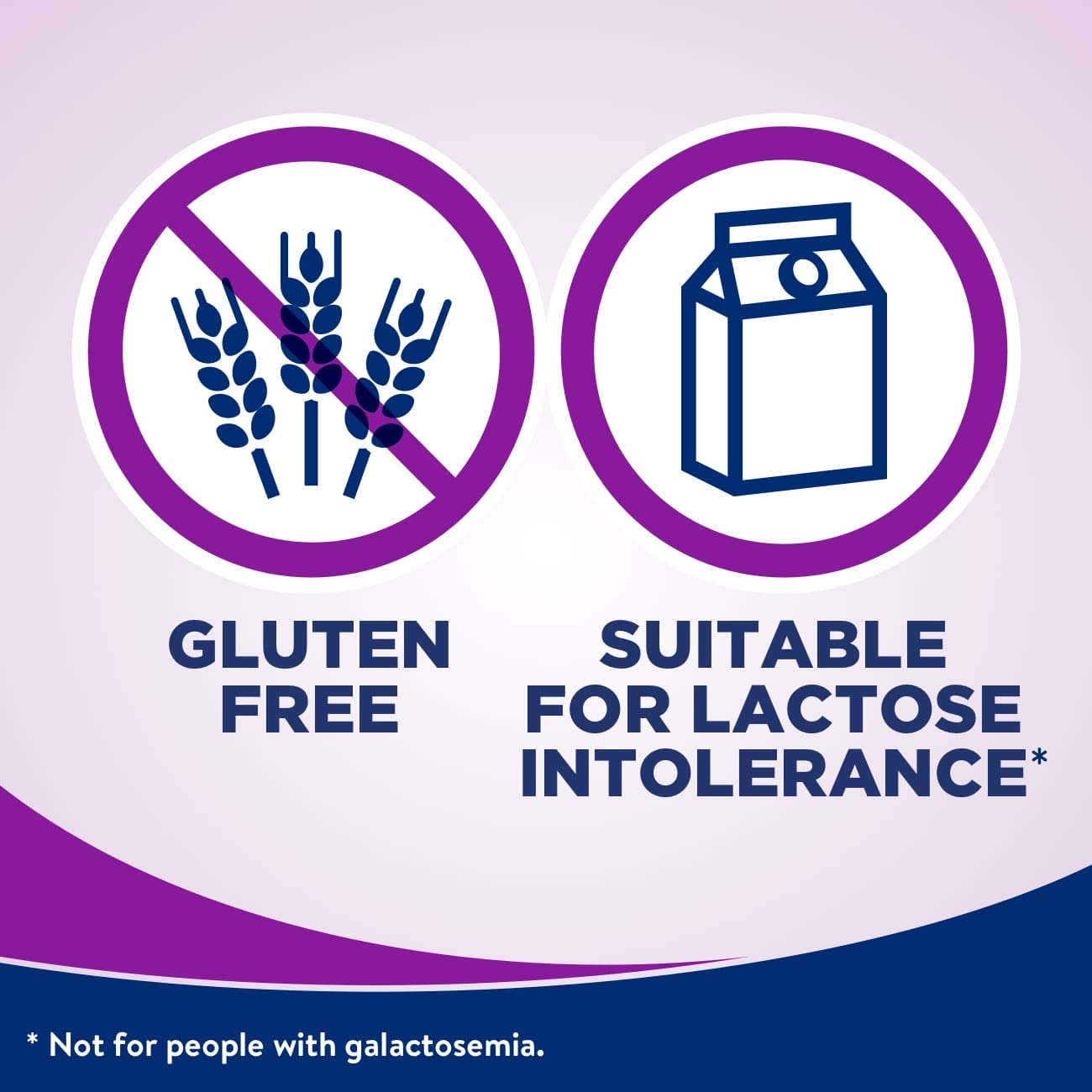 6 Pack of Ensure High Protein Milk Chocolate Nutrition Shakes, 8 Fl Oz Each