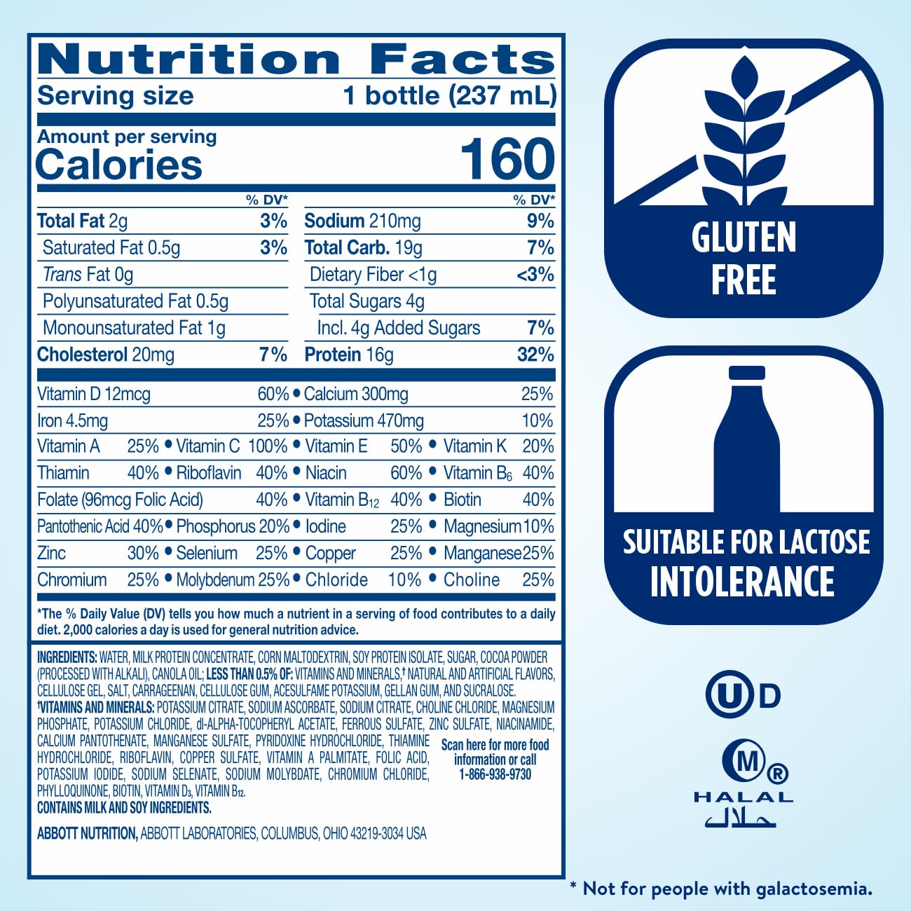 6 Pack of Ensure High Protein Milk Chocolate Nutrition Shakes, 8 Fl Oz Each