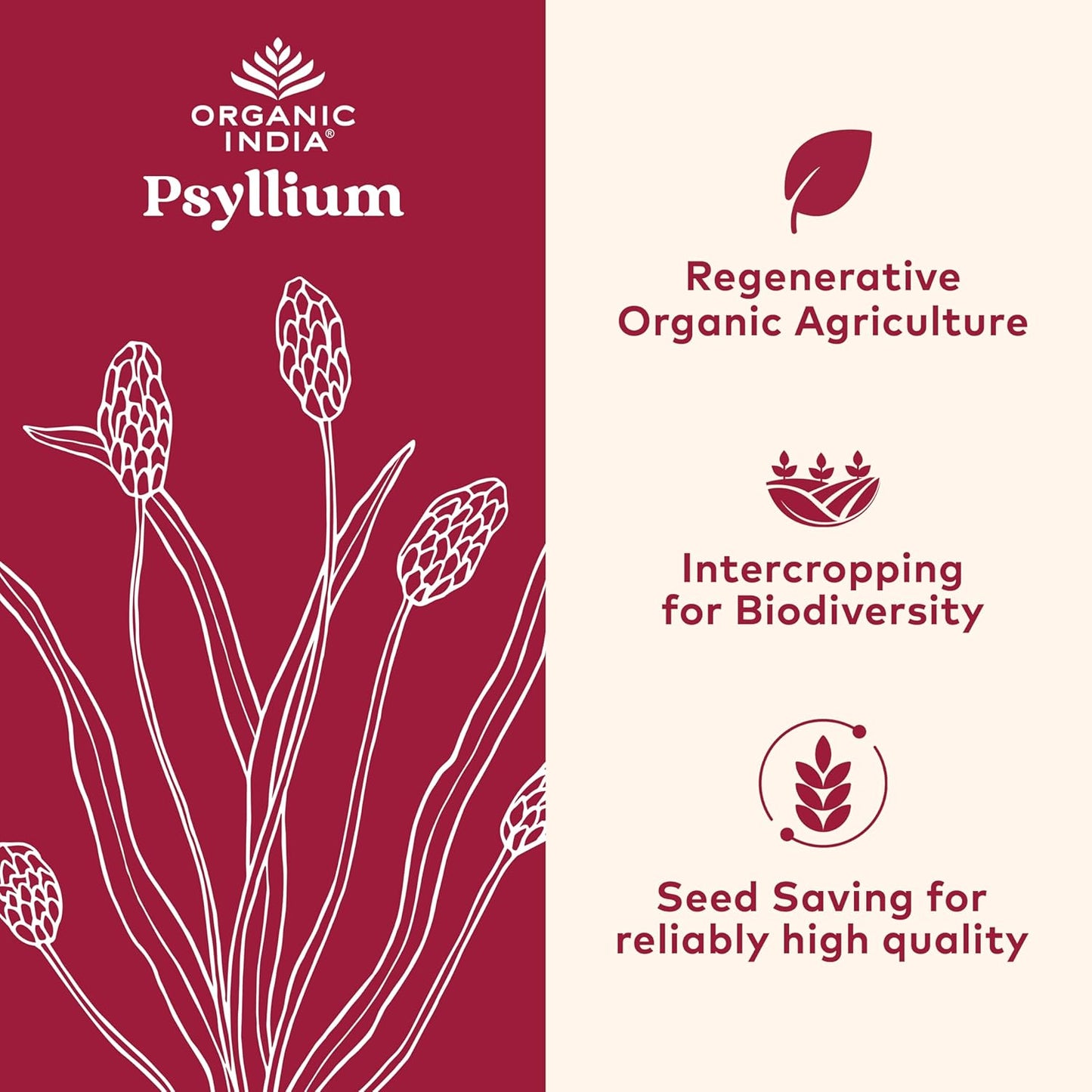 6 Pack of ORGANIC INDIA Whole Psyllium Husk Powder - Digestion Support, Vegan Fiber Supplement - 12 oz Canister, Non-GMO & Gluten-Free