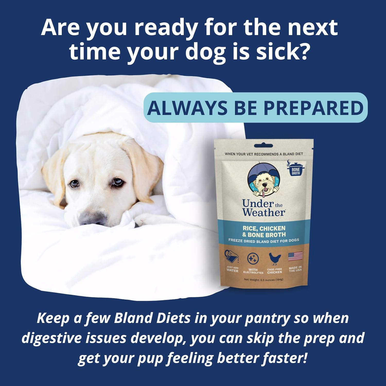 6 Pack Under the Weather Bland Diet for Dogs | Easy to Digest with Electrolytes | Natural Freeze Dried Human Grade Meats - Chicken, Rice & Bone Broth