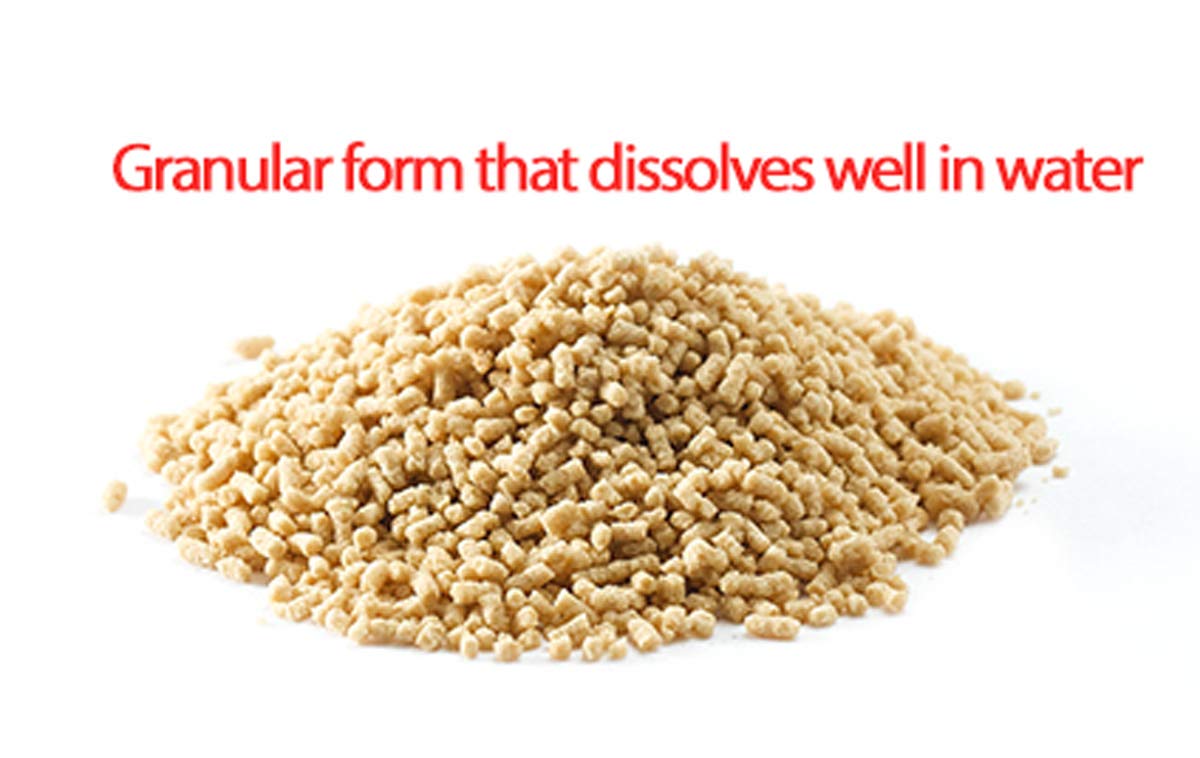 6 Year Korean Red Ginseng Tea - 150g (3g x 50 packets) - Premium Korean Red Ginseng Extract in Tea Form