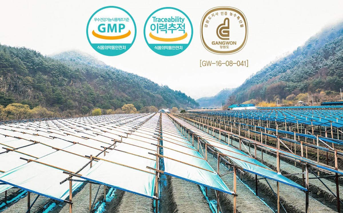 6 Year Korean Red Ginseng Tea - 150g (3g x 50 packets) - Premium Korean Red Ginseng Extract in Tea Form