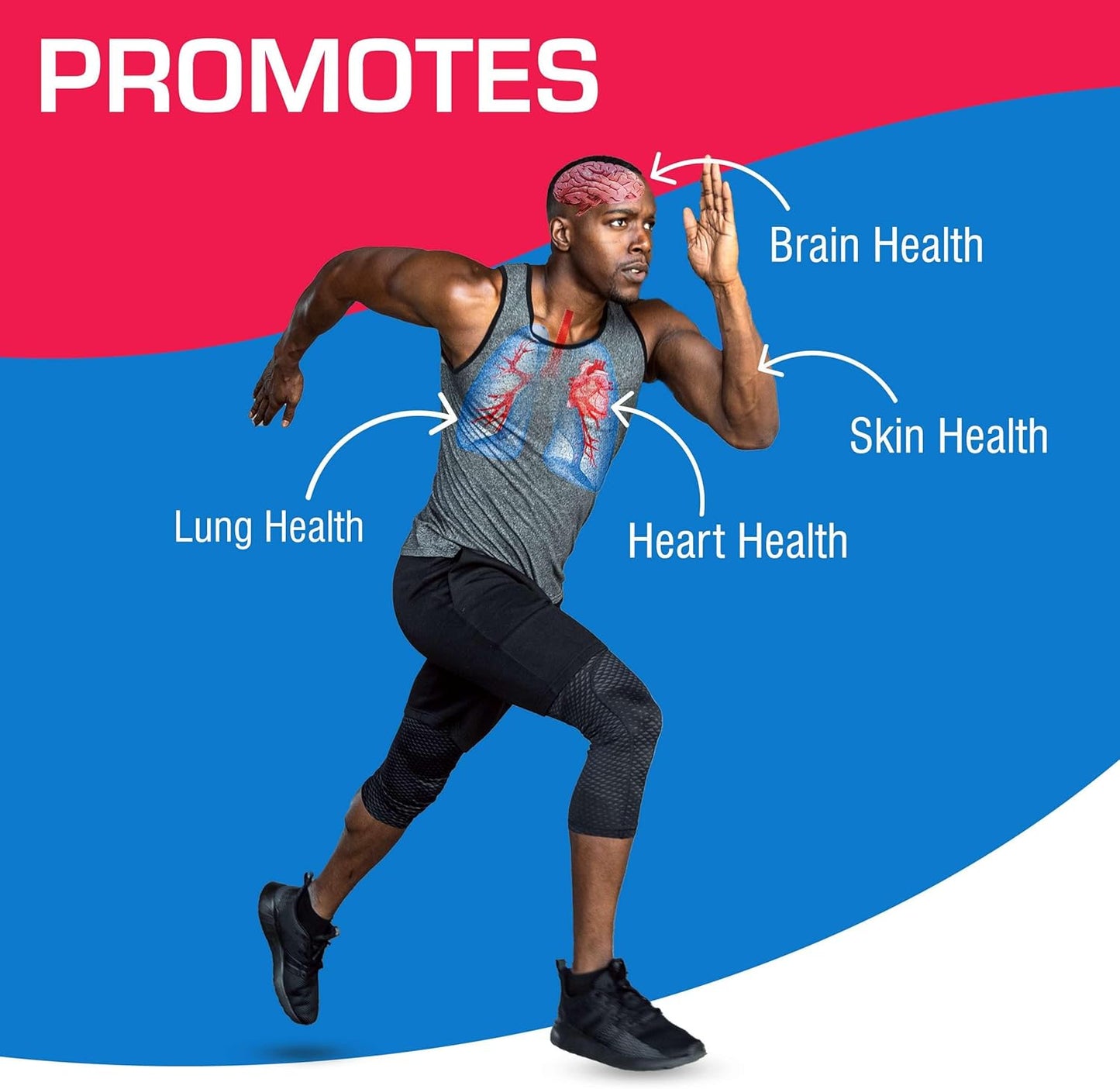60 Anabolic Laboratories CoQ10 Capsules - Coenzyme Q10 Supplements for Heart, Skin, Lung, Brain Health - 60mg for Fertility & Cellular Energy