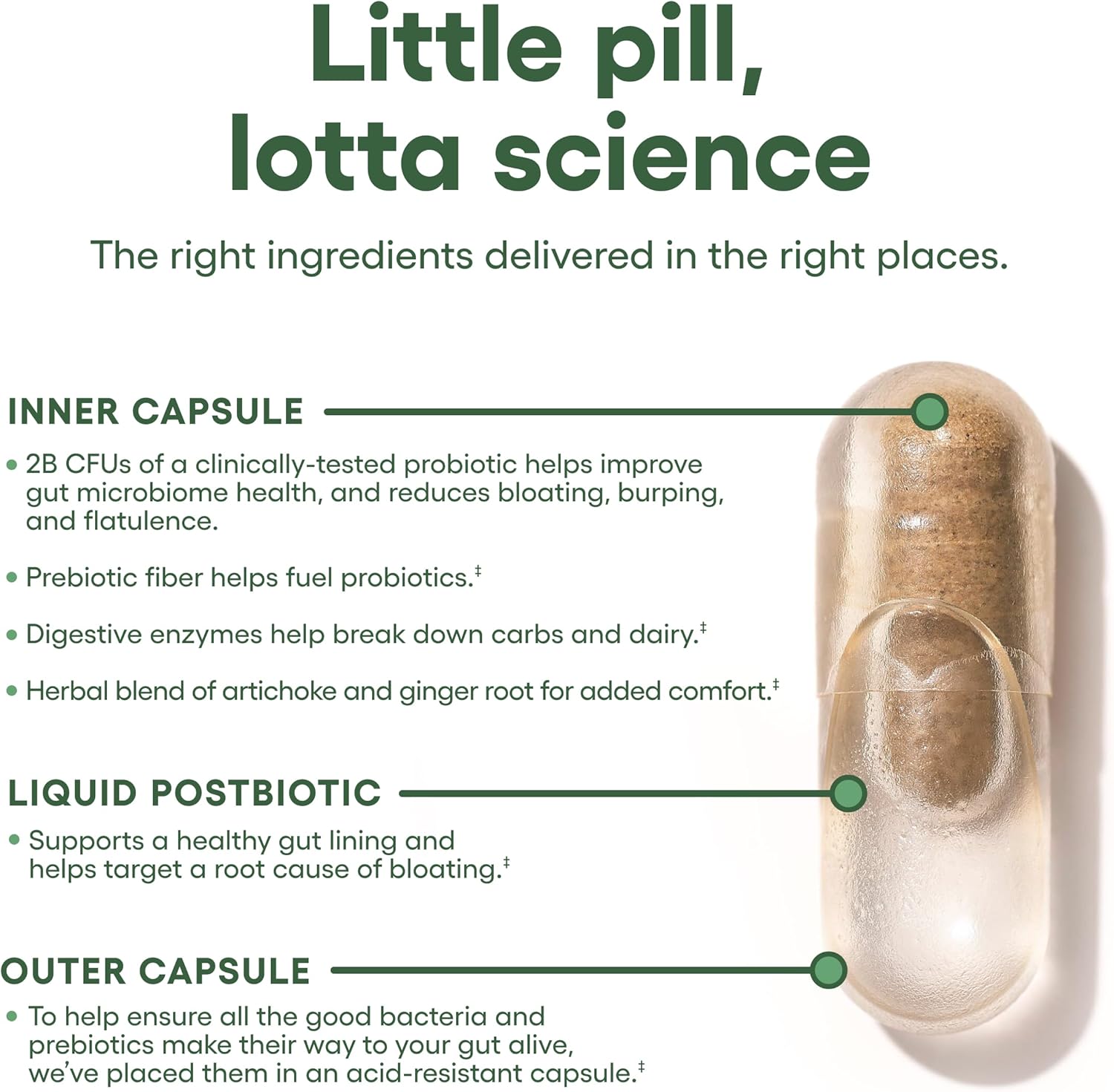 60 Billion Probiotic, Bloat & Gas Probiotic, Digestive Enzymes - Gut Health Bundle for Physicians