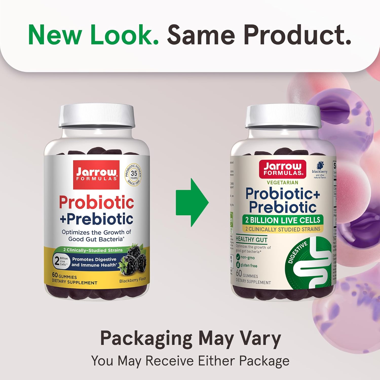 60 BlackBerry Flavor Probiotic+ Prebiotic Gummies for Digestive Health & Immune Support - 2 Billion Live Cells - 30 Day Supply