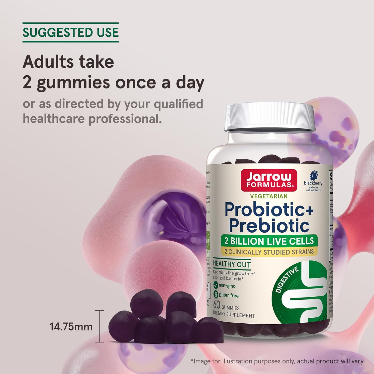 60 BlackBerry Flavor Probiotic+ Prebiotic Gummies for Digestive Health & Immune Support - 2 Billion Live Cells - 30 Day Supply