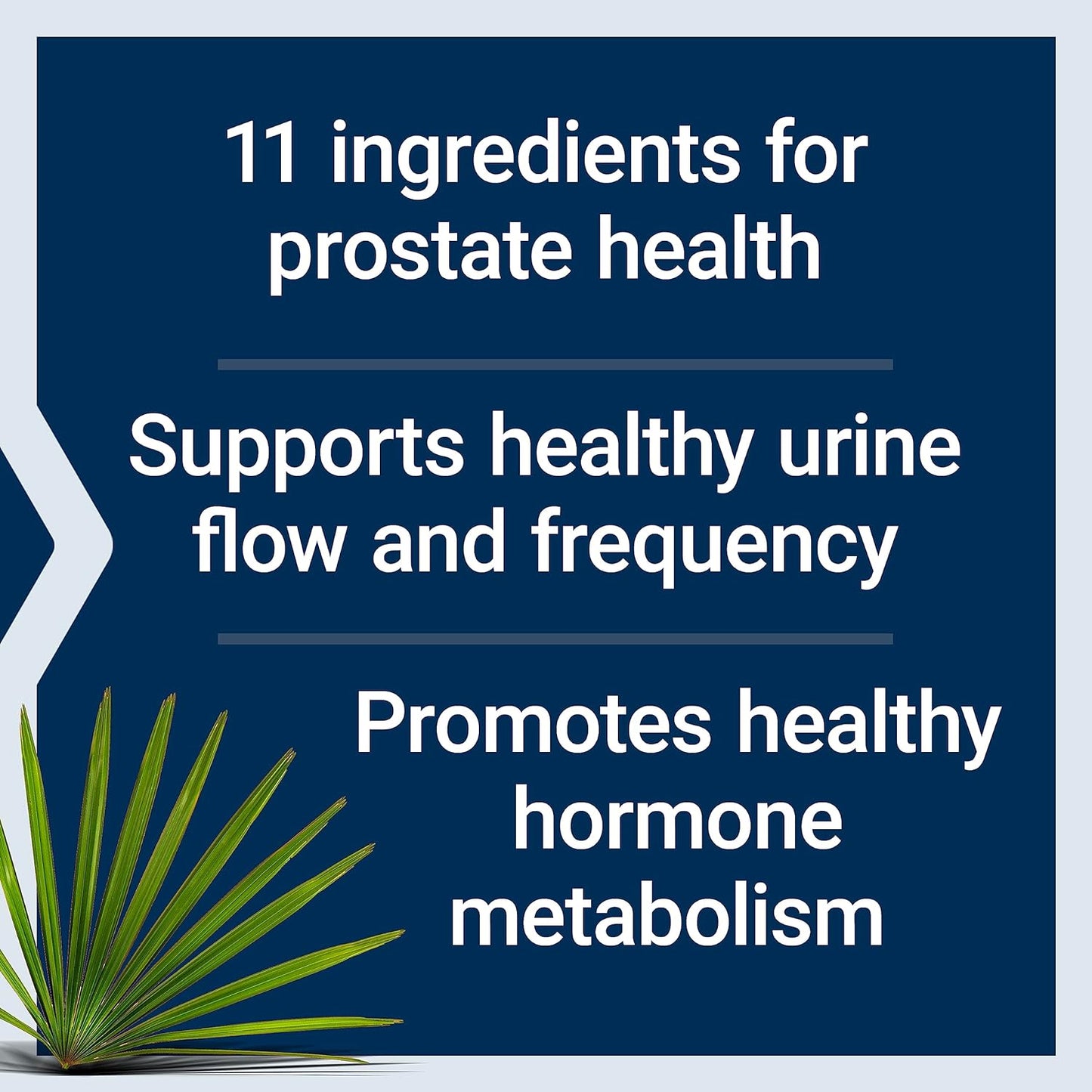 60 Capsules & 60 Softgels Bundle of Life Extension Curcumin Turmeric and Ultra Prostate Formula with Saw Palmetto