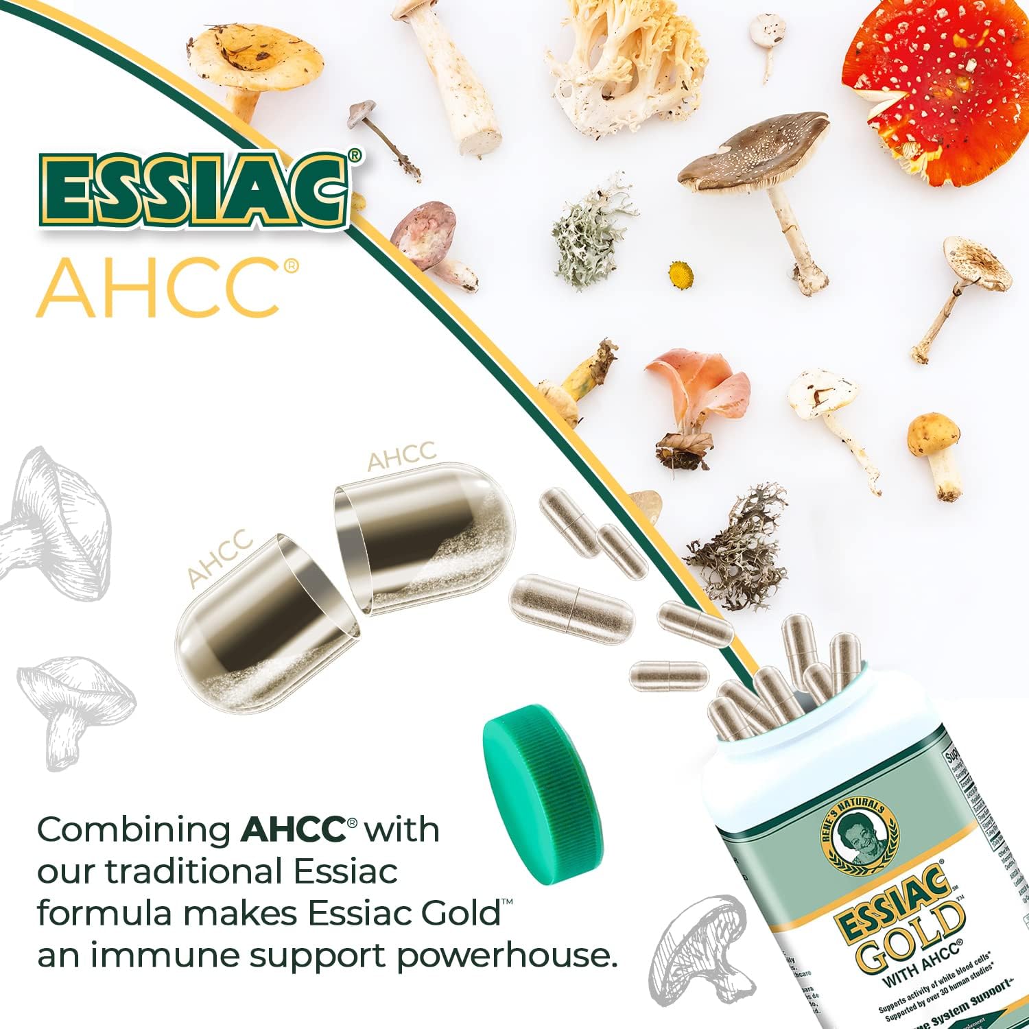 60 Capsules Essiac Gold Extract with AHCC Mushroom Supplement for Immune Support
