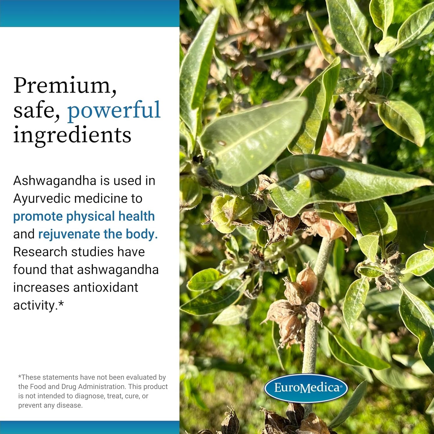 60 Capsules Euromedica Ashwagandha Complex with Rhodiola - Energy, Focus, Concentration - Non-GMO - 60 Servings - Clinically Proven