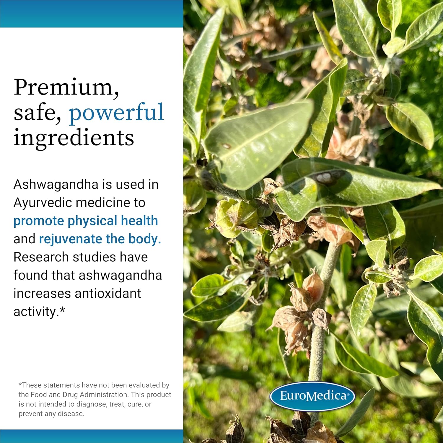 60 Capsules Euromedica Ashwagandha Complex with Rhodiola - Energy, Focus, Concentration - Non-GMO - 60 Servings - Clinically Proven