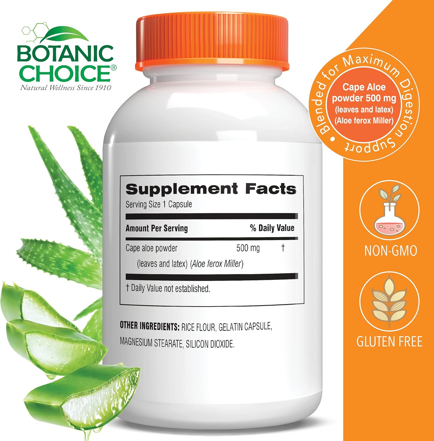 60 Capsules of Botanic Choice Mega Fruits and Veggies Blend with 90 Capsules of Aloe Vera - Energy Balance & Digestive Health Support Bundle