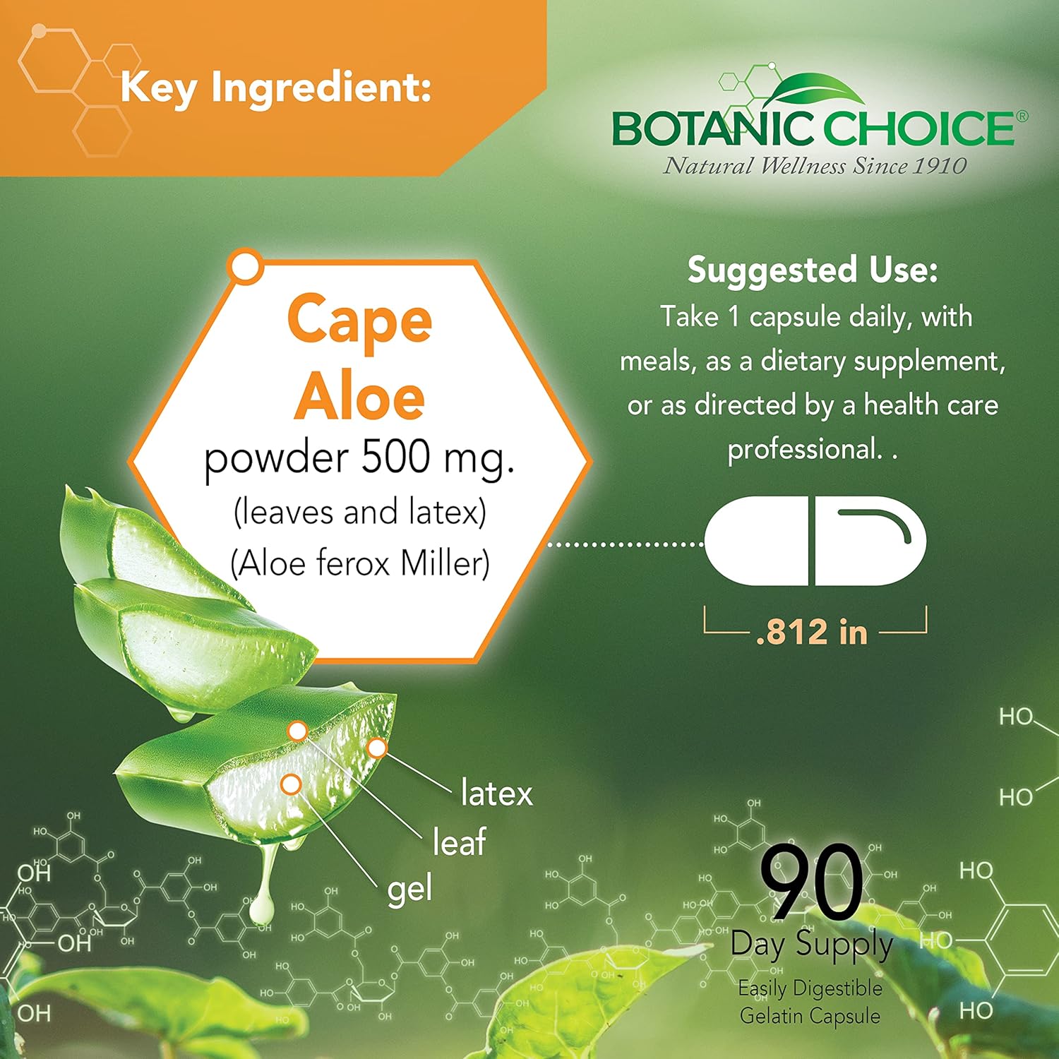 60 Capsules of Botanic Choice Mega Fruits and Veggies Blend with 90 Capsules of Aloe Vera - Energy Balance & Digestive Health Support Bundle