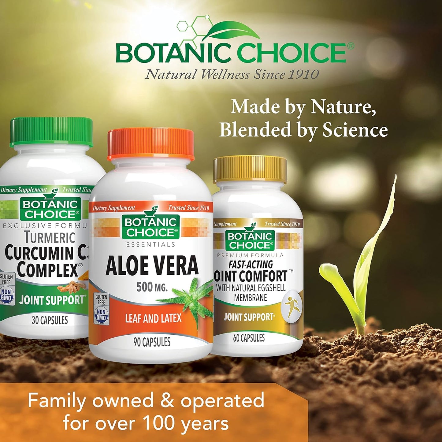 60 Capsules of Botanic Choice Mega Fruits and Veggies Blend with 90 Capsules of Aloe Vera - Energy Balance & Digestive Health Support Bundle