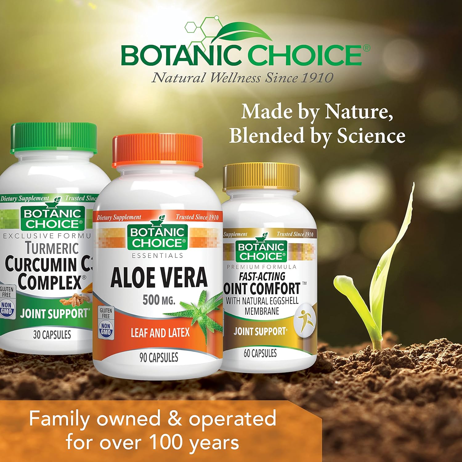 60 Capsules of Botanic Choice Mega Fruits and Veggies Blend with 90 Capsules of Aloe Vera - Energy Balance & Digestive Health Support Bundle