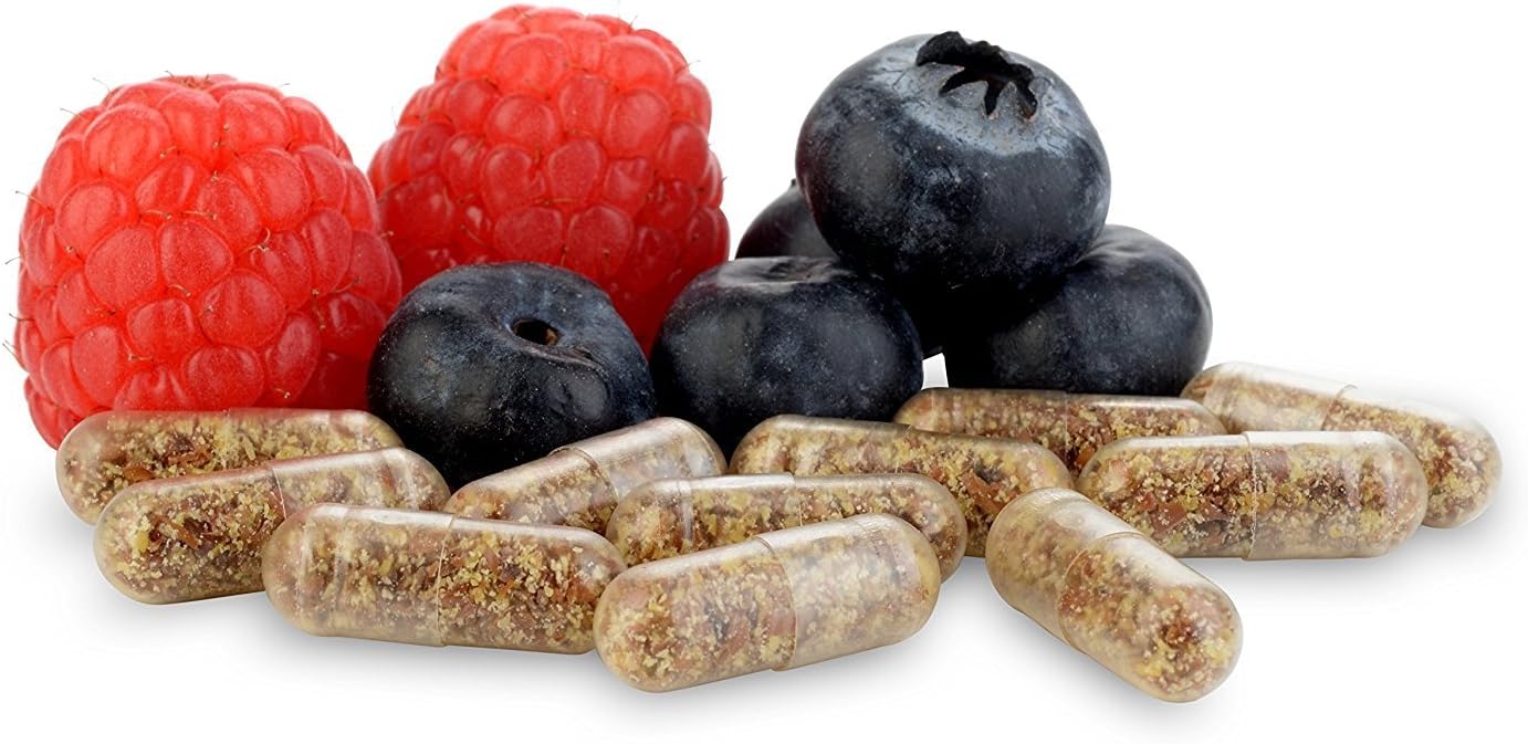 60 Capsules of General Biotics Equilibrium Probiotic Supplement with Prebiotic - Daily Time Release - Highest Strain Count - 2 Bottles