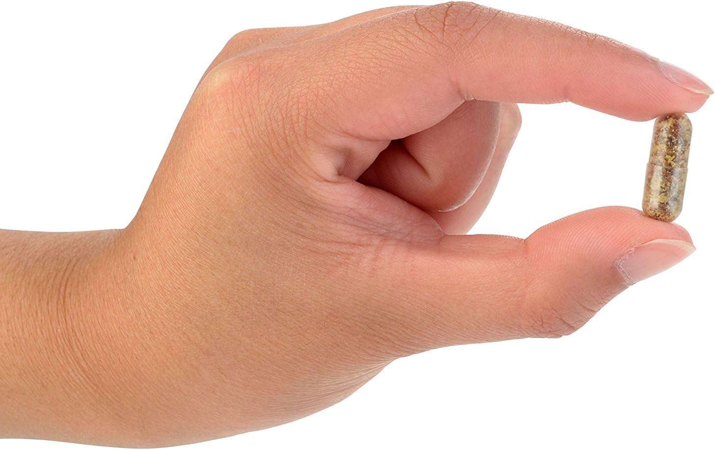 60 Capsules of General Biotics Equilibrium Probiotic Supplement with Prebiotic - Daily Time Release - Highest Strain Count - 2 Bottles