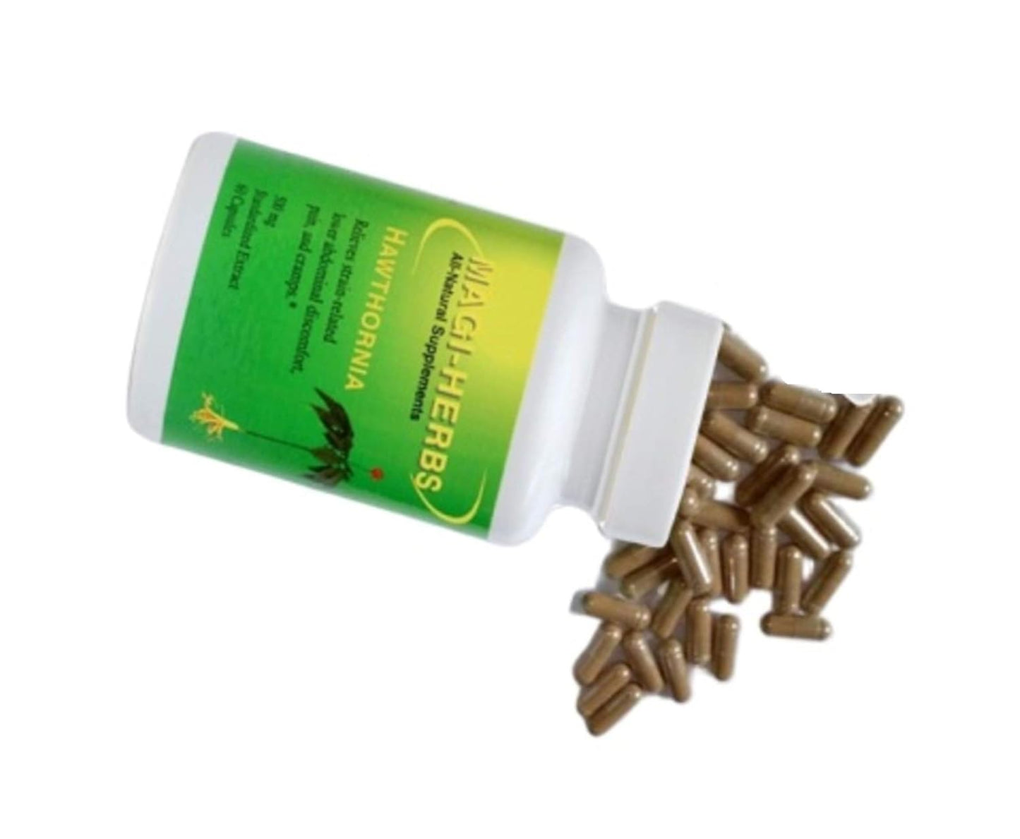 60 Capsules of Magi-herbs Hawthornia for Early Hernia Relief