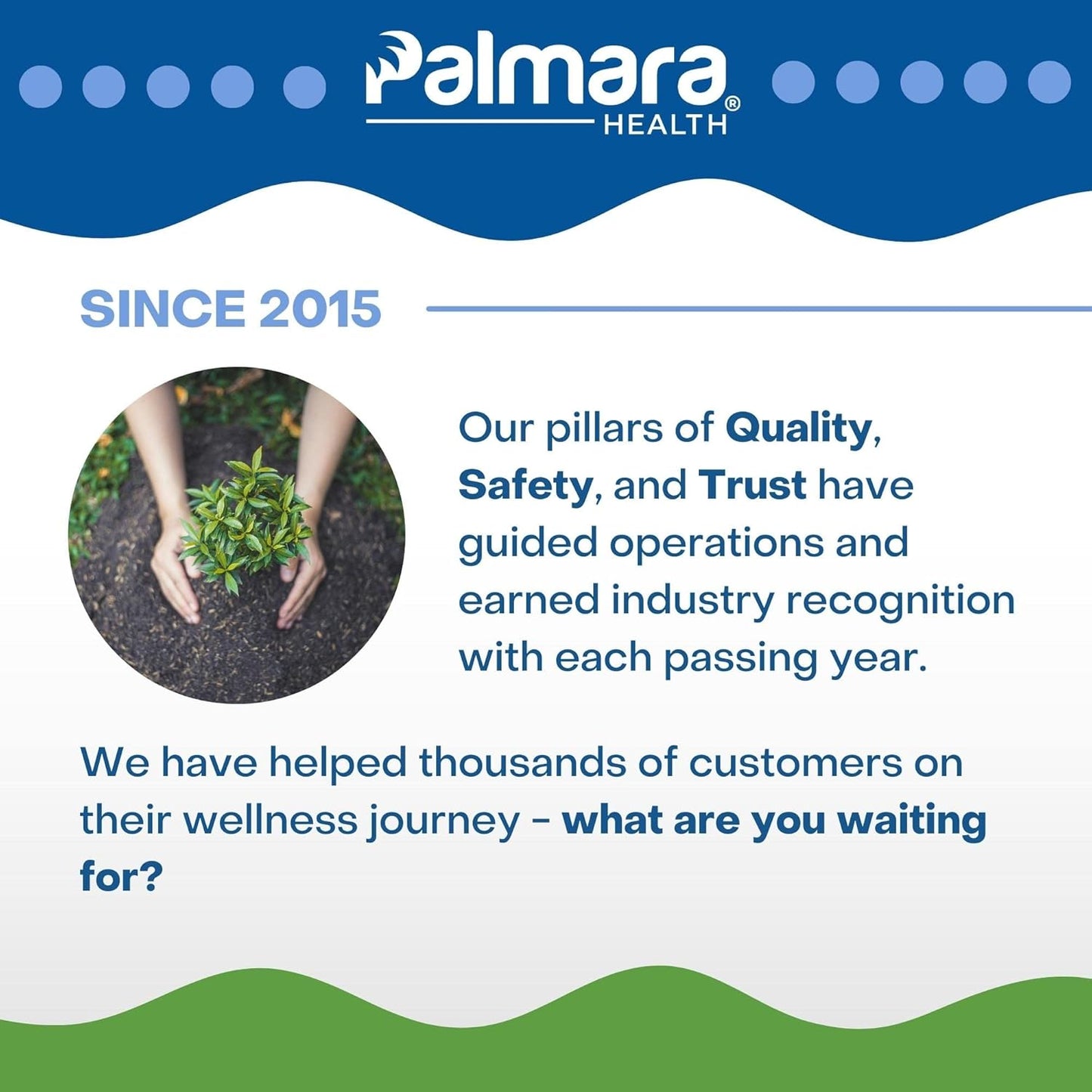 60 Capsules of Palmara Health Premium Immune Support Supplement - Pack of 2