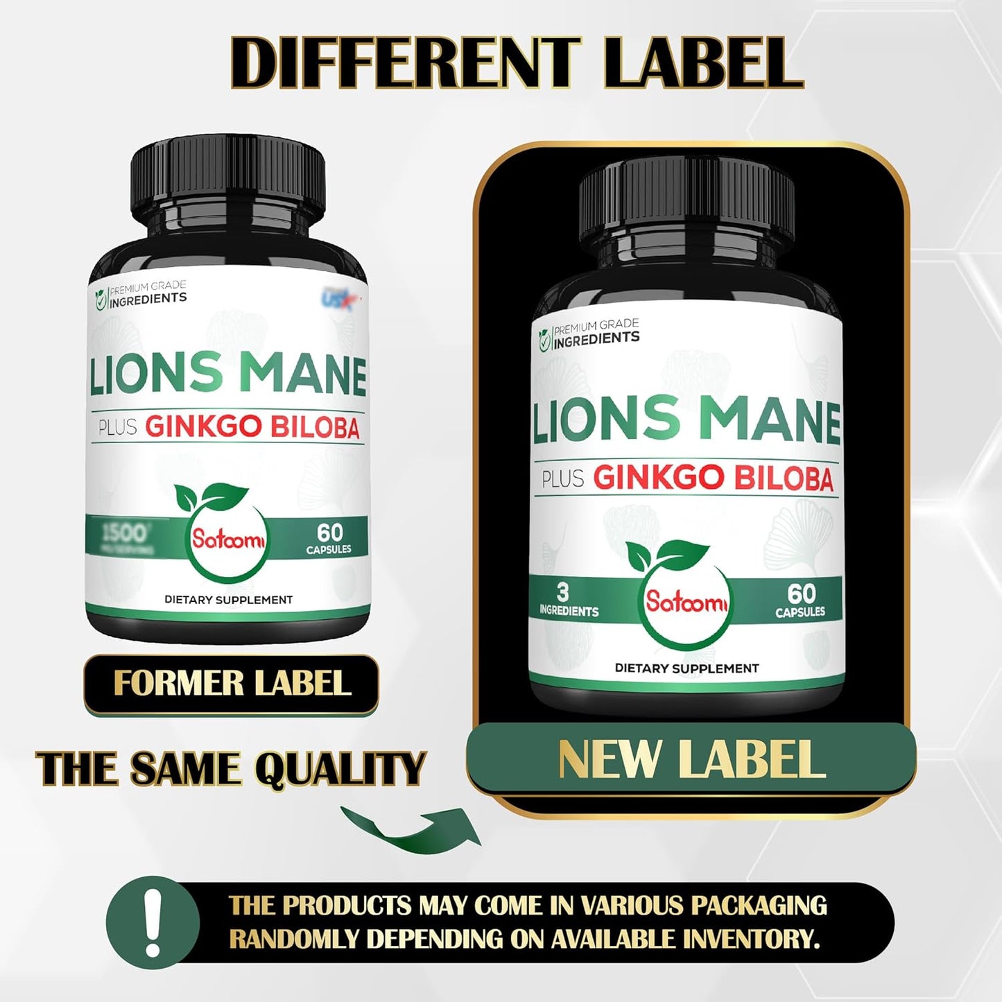 60 Capsules of Satoomi Lions Mane & Ginkgo Biloba Supplement - Boost Brain Health, Immune System, Focus - Gluten-Free, Non-GMO - Extra Strength Formula for Restful Mind