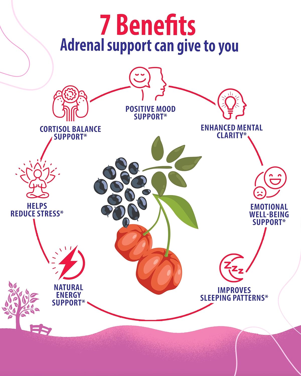 60 Capsules of SUNNY SAM Adrenal Cortex Support Supplements for Healthy Cortisol Levels, Energy, and Stress Relief