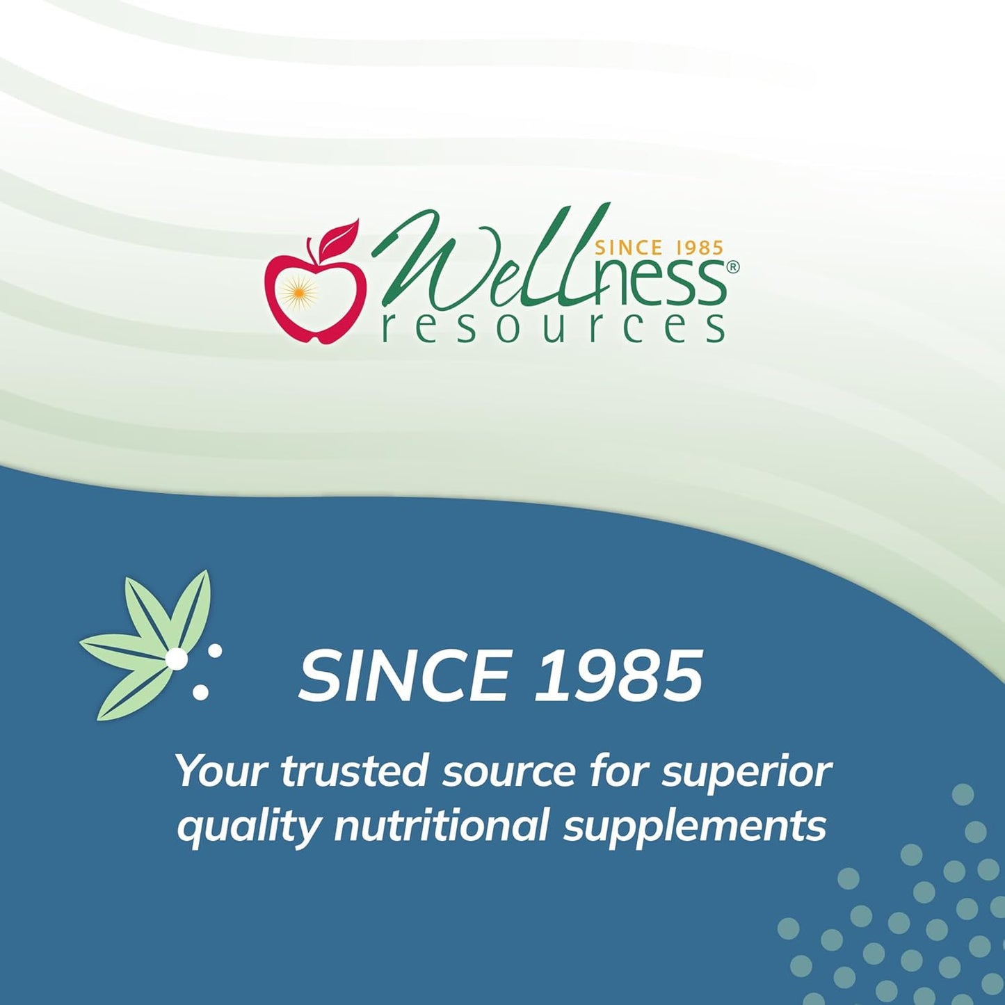60 Capsules of Wellness Resources I3C + DIM - Supports Healthy Estrogen Metabolism & Detox - 300mg I3C + 100mg DIM - Vegan & Gluten-Free