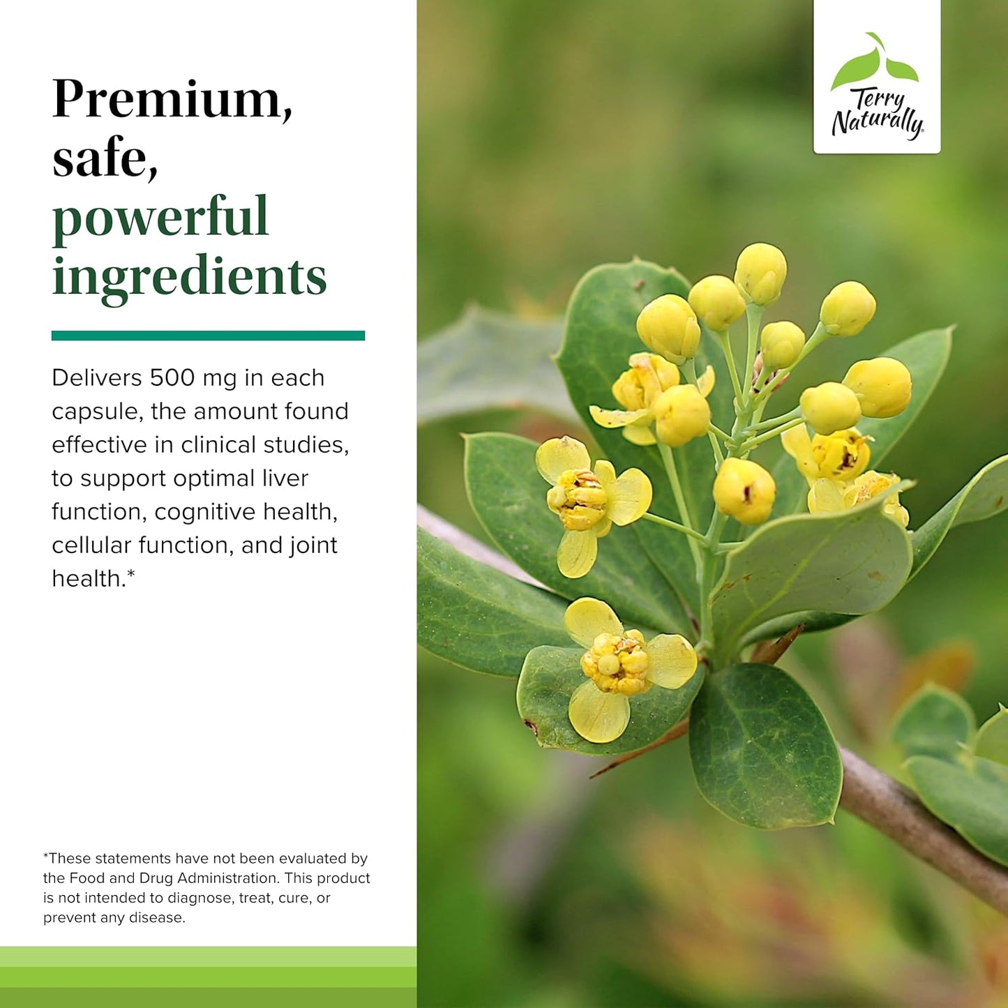 60 Capsules Terry Naturally Berberine for Improved Metabolic Health - Non-GMO, Vegan, Gluten Free - 60 Servings