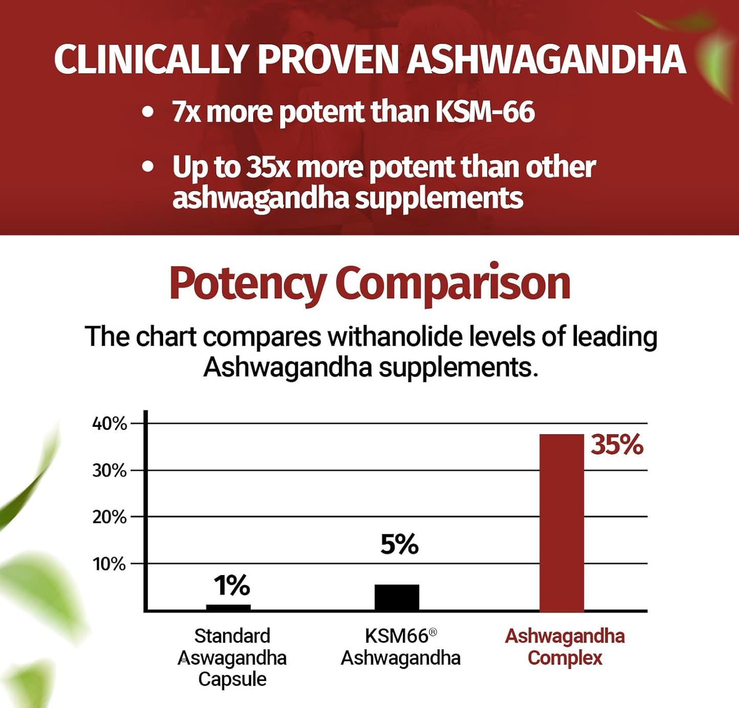 60 Capsules Vegan Ashwagandha Complex with Shoden® for Stress Relief, Sleep, and Energy Support - Non-GMO Formula