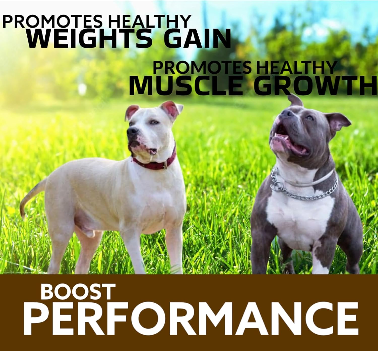 60 Chewable Tablets of VITOFARMA Predator Canine Muscle Builder Supplement for Dogs - Promotes Muscle Gain