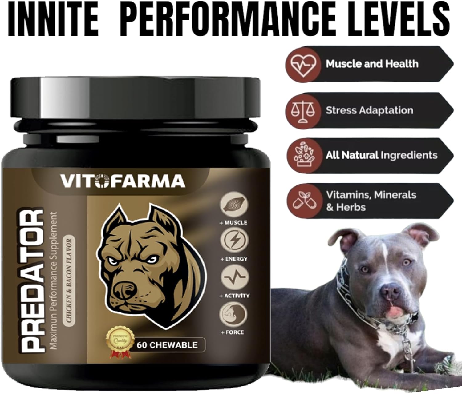 60 Chewable Tablets of VITOFARMA Predator Canine Muscle Builder Supplement for Dogs - Promotes Muscle Gain