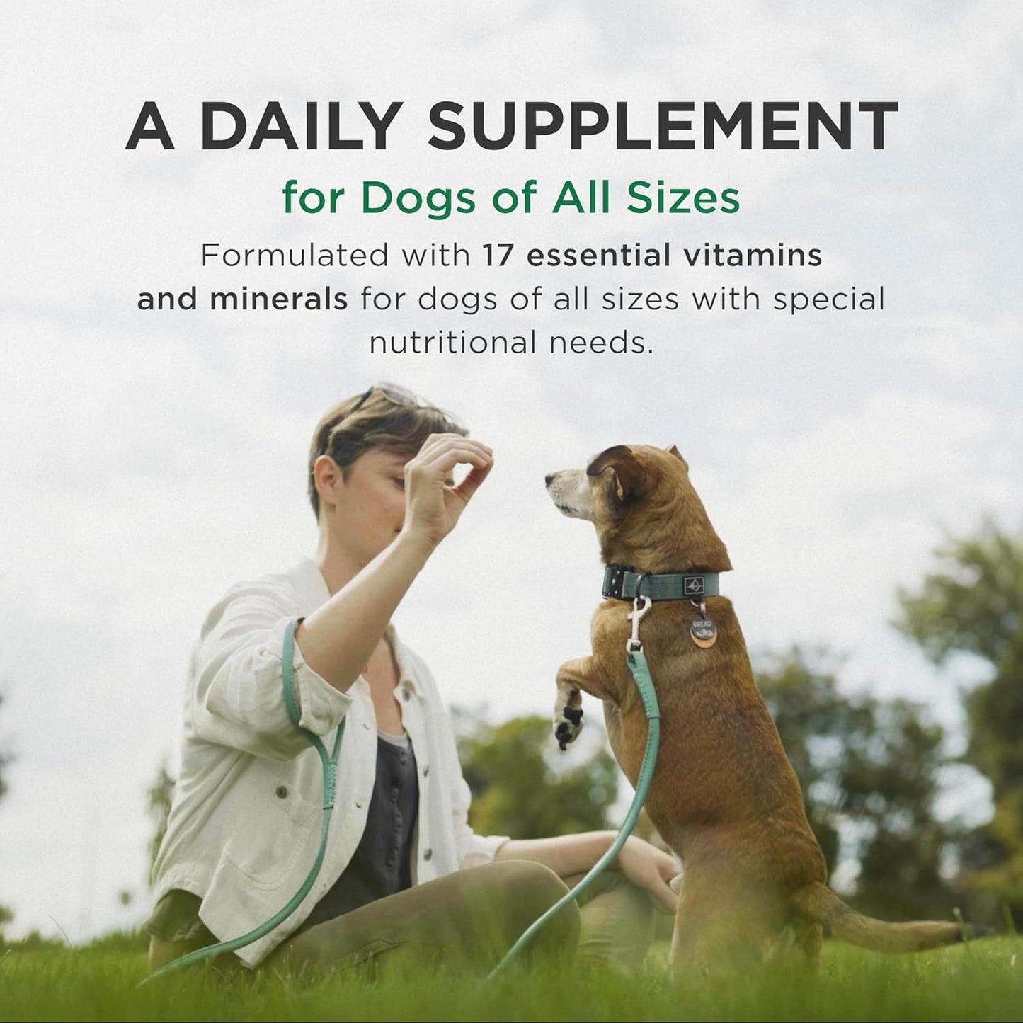 60 Count Bottle of Chewable Pet-Tabs Multivitamin Supplement for Dogs