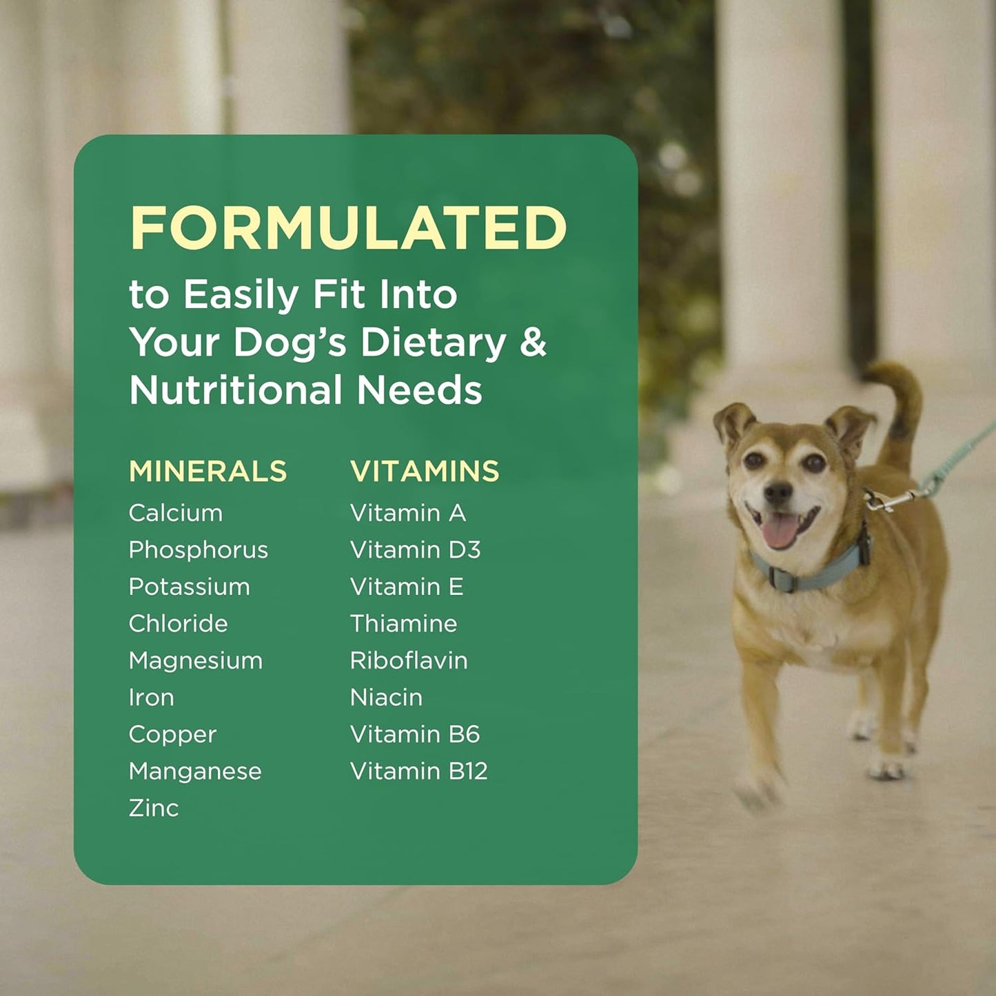 60 Count Bottle of Chewable Pet-Tabs Multivitamin Supplement for Dogs