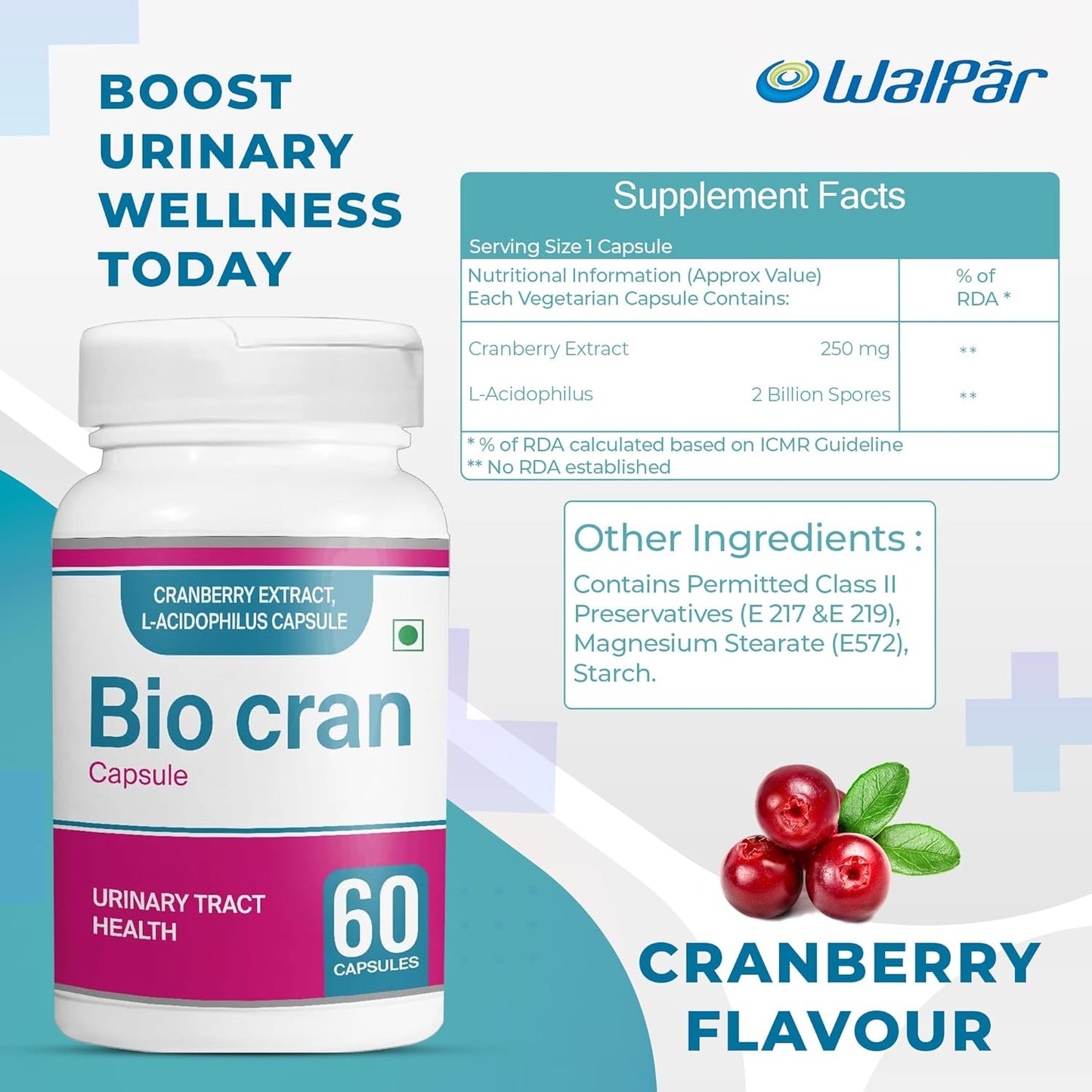 60 Count Cranberry Capsules with L-Acidophilus for Urinary Tract Health - Vegetarian Cranberry Pills for Immunity Support - Men and Women's Cranberry Supplements