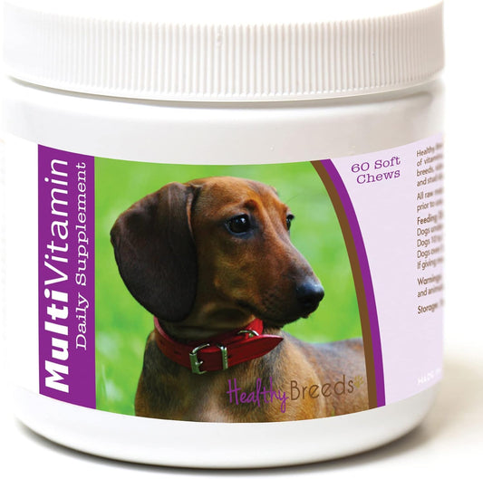 60 Count Healthy Breeds Dachshund Multi-Vitamin Soft Chews for Dog Health and Wellness