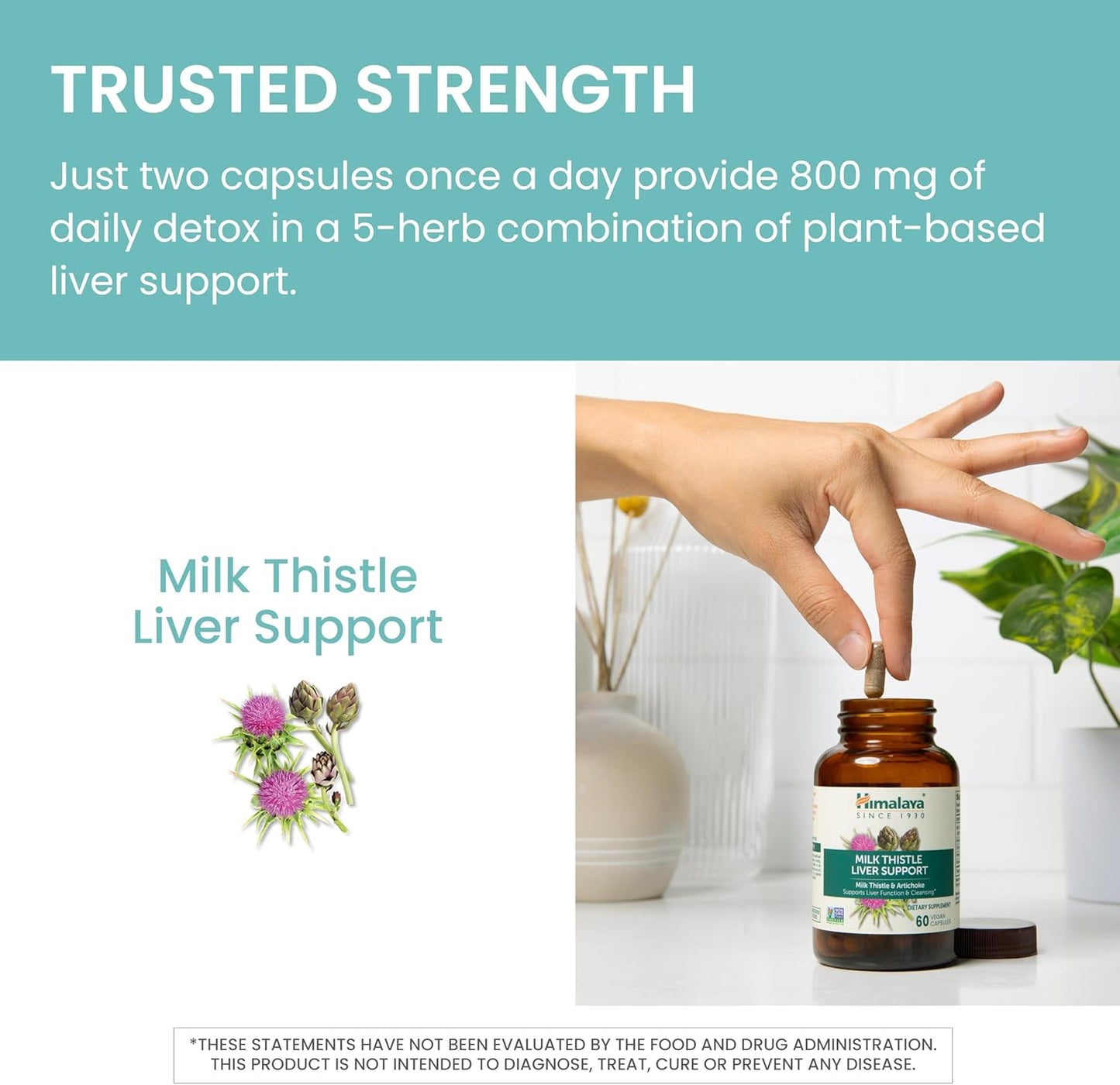 60 Count Himalaya Milk Thistle Liver Support Capsules - 350 mg with Artichoke, Chicory, Andrographis, Dandelion - Promotes Liver Health & Detoxification