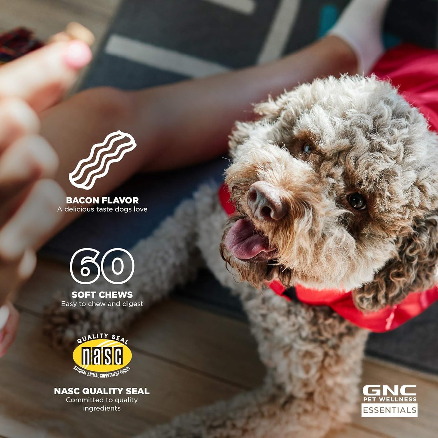 60 ct GNC Essentials Dog Multivitamin Soft Chews with Salmon Oil - Bacon Flavor Chewable Supplement Boosts Immune System