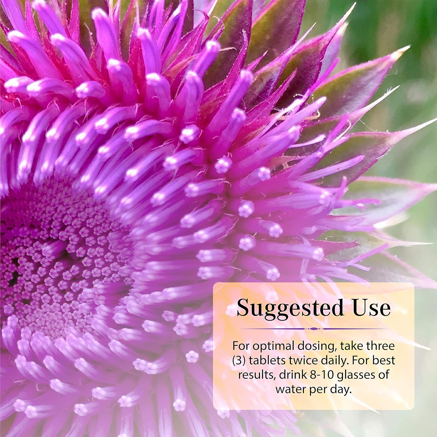 60 ct Nature's Secret Milk Thistle Liver Cleanse Tablets for Liver Support & Detox