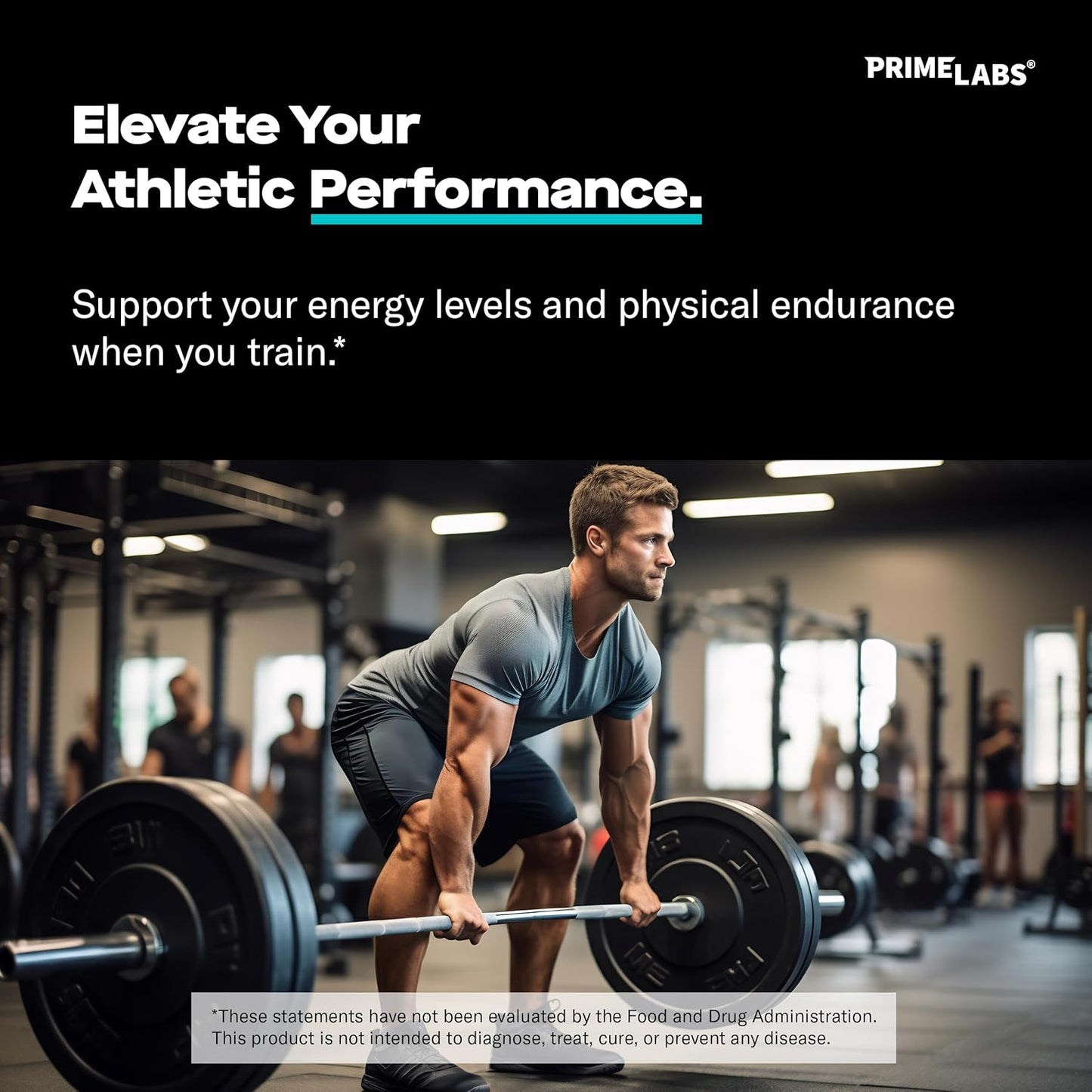 60 ct Prime Labs L Arginine Combined with 180 ct L Glutamine Supplement Pack