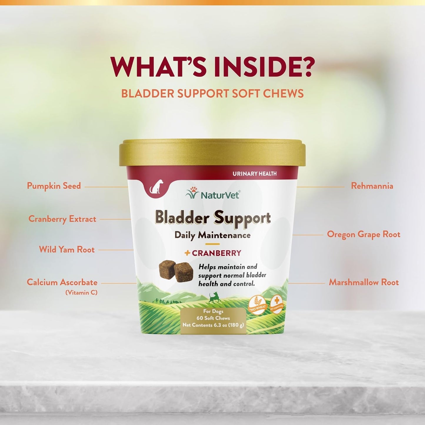 60 ct Soft Chews NaturVet Bladder Support Plus Cranberry for Dogs, USA-Made with Global Ingredients