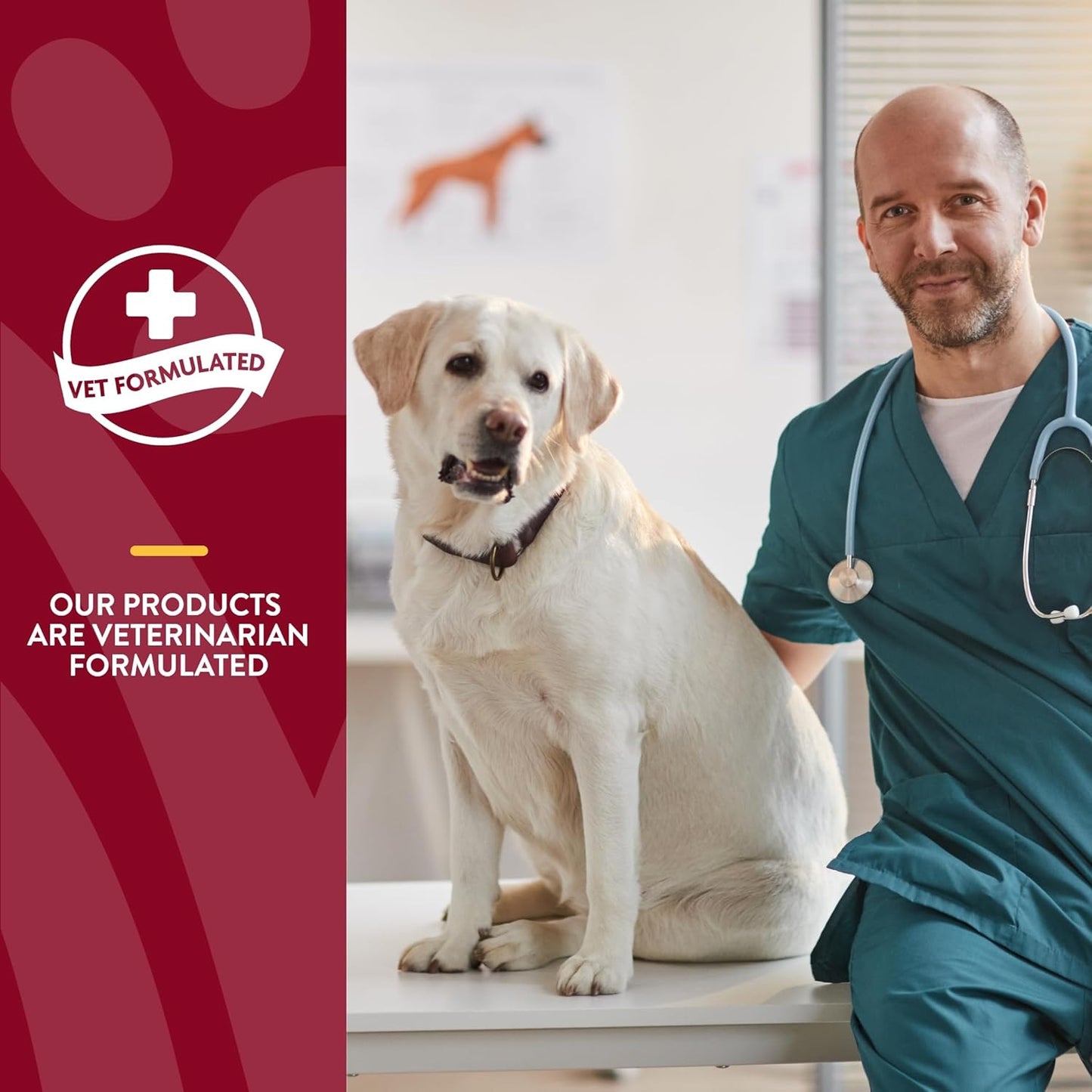 60 ct Soft Chews NaturVet Bladder Support Plus Cranberry for Dogs, USA-Made with Global Ingredients