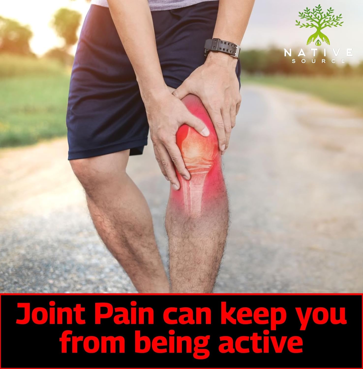 60-Day Supply Joint Support Supplement with Turmeric, Tamarind Seeds, Boswellia, and Fenugreek Extracts