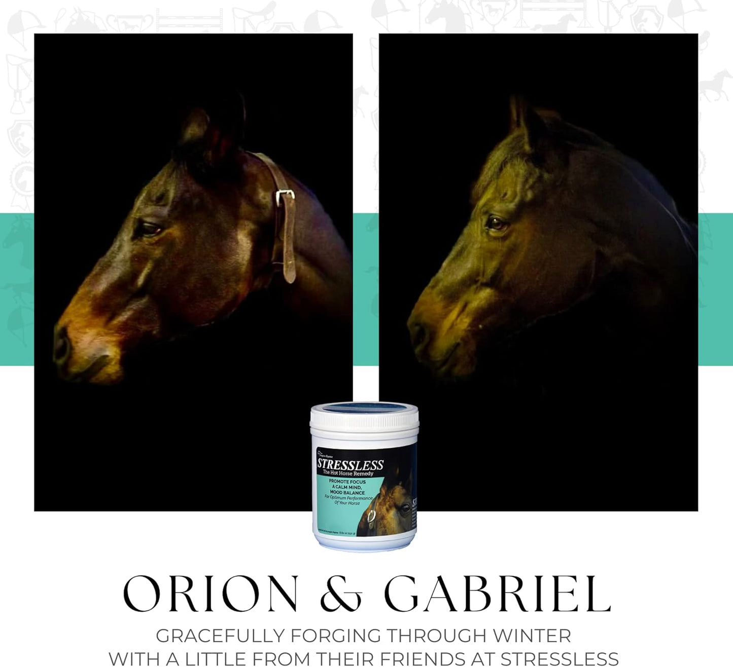 60 Day Supply of All Natural StressLess Hot Horse Supplement for Calm & Focus