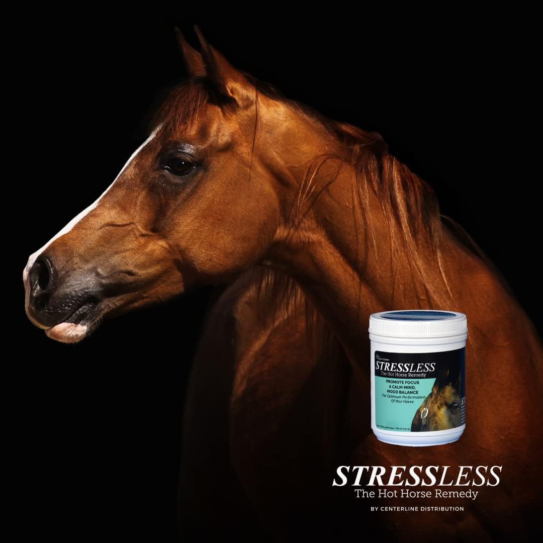 60 Day Supply of All Natural StressLess Hot Horse Supplement for Calm & Focus