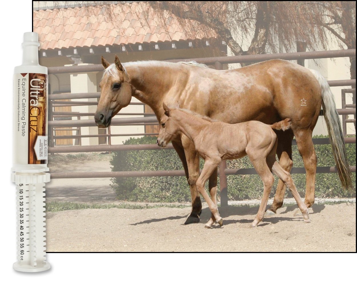 60 ml UltraCruz Equine Calming Supplement Paste for Horses