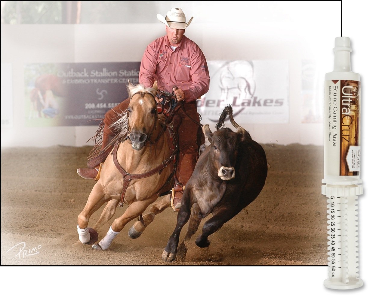 60 ml UltraCruz Equine Calming Supplement Paste for Horses