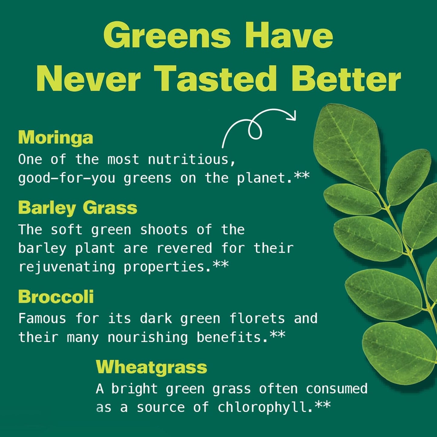 60 Non-GMO Gluten-Free Moringa Gummies - Natural Energy Boost with Caffeine-Free Moringa Supplements by Kuli Kuli