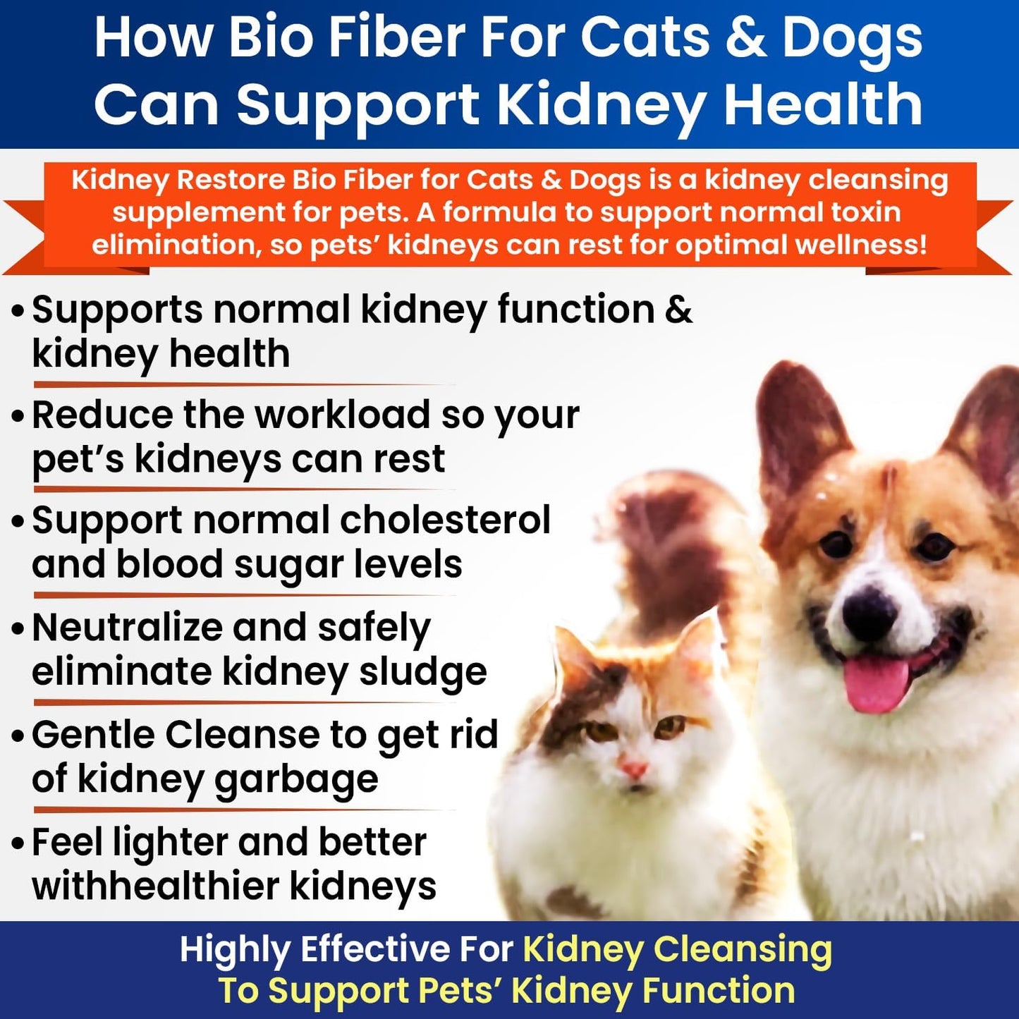 60 Servings of Kidney Restore Bio Fiber for Cat & Dog Kidney Health, Supports Normal Kidney Function, Renal Support Pet Supplement with Renal Food