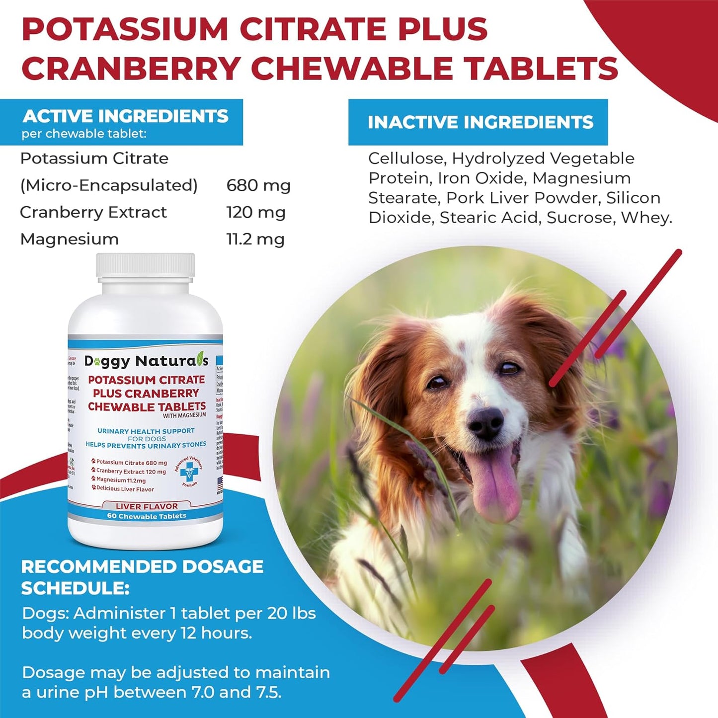 60 Tablets Pet Health Pharma Potassium Citrate Plus Cranberry & Magnesium Supplement for Dogs - Urinary Tract Support - Prevents Calcium Oxalate Stones - Bladder & Kidney Stone Deterrent - Made in USA