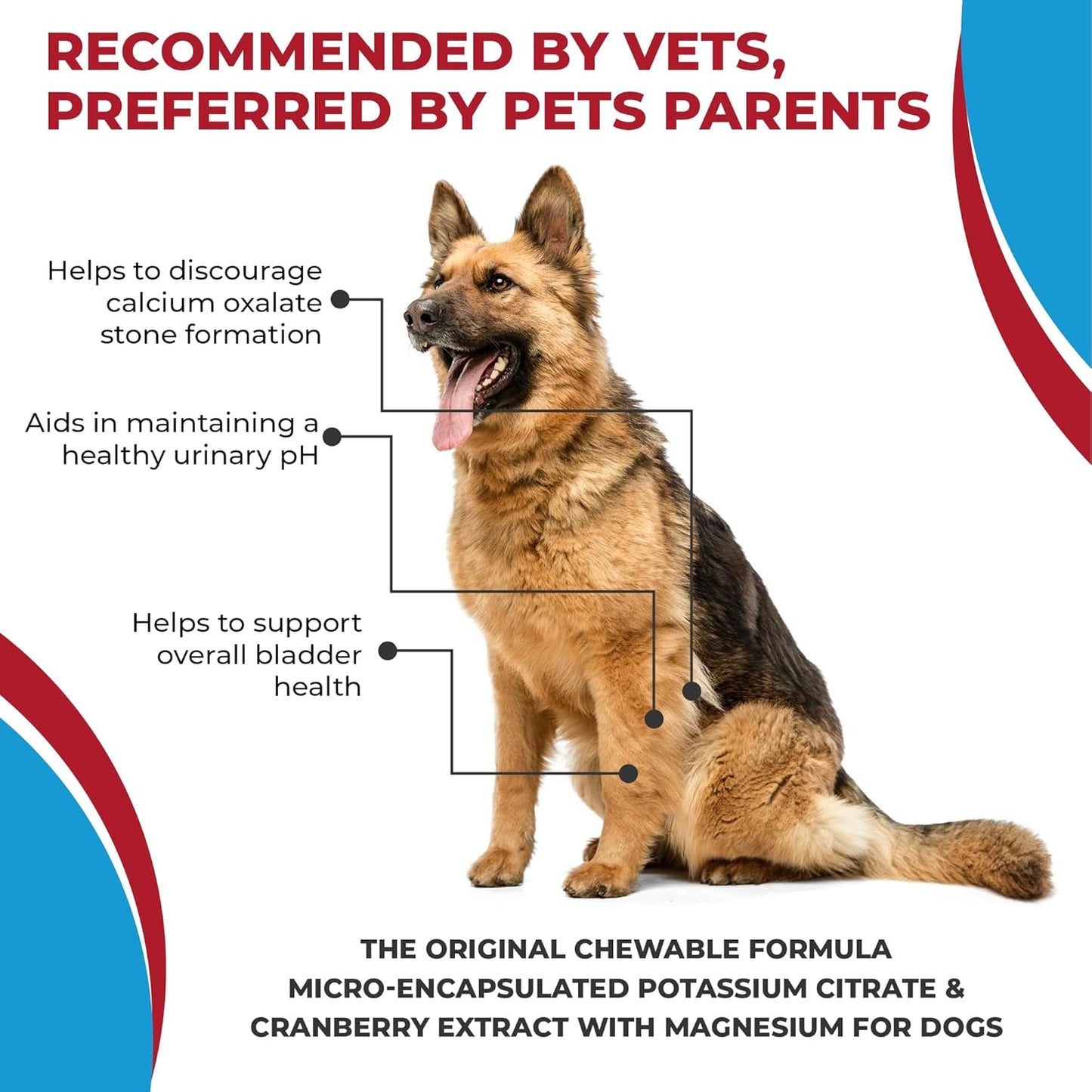 60 Tablets Pet Health Pharma Potassium Citrate Plus Cranberry & Magnesium Supplement for Dogs - Urinary Tract Support - Prevents Calcium Oxalate Stones - Bladder & Kidney Stone Deterrent - Made in USA