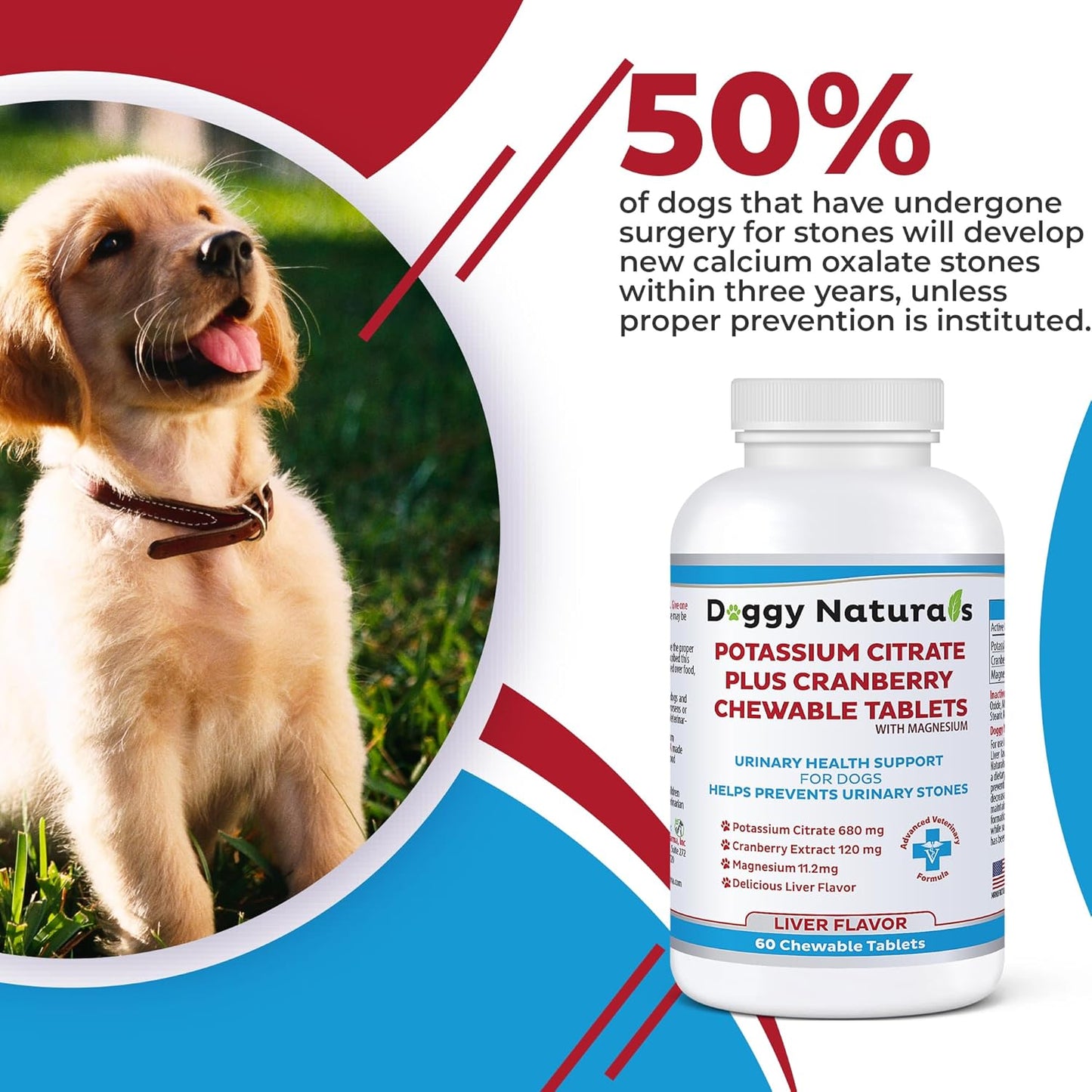 60 Tablets Pet Health Pharma Potassium Citrate Plus Cranberry & Magnesium Supplement for Dogs - Urinary Tract Support - Prevents Calcium Oxalate Stones - Bladder & Kidney Stone Deterrent - Made in USA