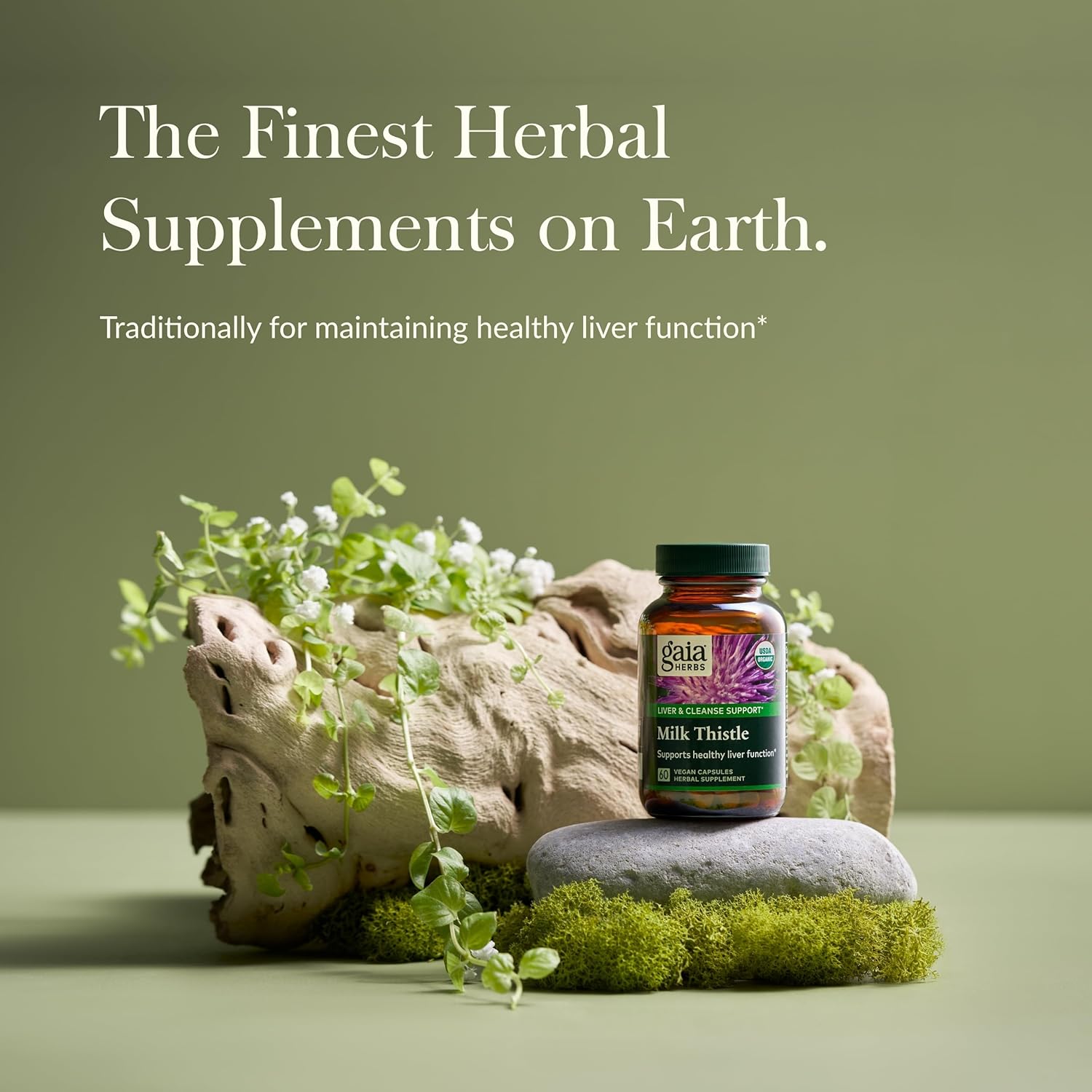 60 Vegan Capsules of Gaia Herbs Milk Thistle for Liver Support and Healthy Liver Function - Natural Cleanse Supplement for Liver Health*